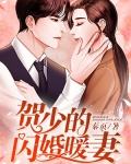 贺总的闪婚暖妻 小说 漫画_贺少的闪婚暖妻