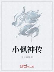 小说《小枫神传》TXT下载_小枫神传