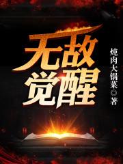 无敌觉醒txt全集下载_无敌觉醒