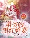 小说《盛宠入骨：萧爷的黑红娇妻》TXT百度云_盛宠入骨：萧爷的黑红娇妻