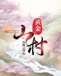 男主女主是陈乐,王大富,苏峰的小说是什么_黄金山村