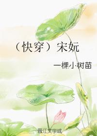 穿宋电子书_(快穿)宋妧