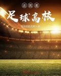 男主女主是赵非,王东,卡帅的小说是什么_这就是足球高校