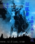 男主女主是刘淮,赵若兰,王仲的小说是什么_征服者之占据东瀛当反贼
