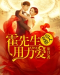 男主女主是霍厉延,沈佳妮,陈绍南的小说是什么_令海棠霍厉延