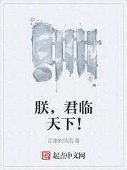 作者朕君临天下_武朝风云志