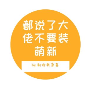 小说《都说了大佬不要装萌新！》TXT百度云_都说了大佬不要装萌新！