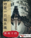 男主女主是江鹤,安慕,奚冰的小说是什么_她是一只猫头鹰