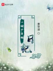 男主女主是周杰伦,志敏,刘辉的小说是什么_一个少年的日记