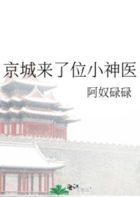 小说《京城来了位小神医》TXT下载_京城来了位小神医