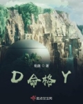 还珠格格小说y_D命格Y