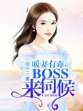 小说《暖妻有毒，BOSS来伺候》TXT下载_暖妻有毒，BOSS来伺候