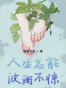 小说《人生怎能波澜不惊》TXT下载_人生怎能波澜不惊