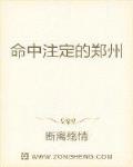 男主女主是林可儿,杨珂,赵园园的小说是什么_命中注定的郑州
