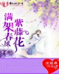男主女主是高筱,陆晓,陆婉琪的小说是什么_满架春风紫藤花