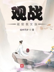 观星阁小说_观战能使我变强