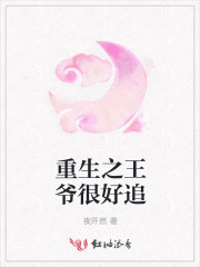 男主女主是花菲,刘雨琳,菲儿的小说是什么_重生之王爷很好追