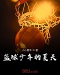 小说《篮球少年的夏天》TXT下载_篮球少年的夏天
