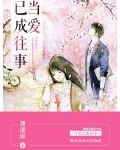 唐婉叶明辉小说完整版_唐婉叶明辉