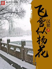 杨花飞雪 还_飞雪似杨花