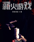 男主女主是叶辛,陈培恩,刘筠的小说是什么_薪火游戏
