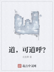 男主女主是叶禹,雪莉,刘小伟的小说是什么_道，可道呼？