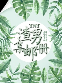 小说《TNT：渣男集邮册》TXT下载_TNT：渣男集邮册