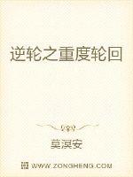 男主女主是丁琰,司空,仲正国的小说是什么_逆轮之重度轮回