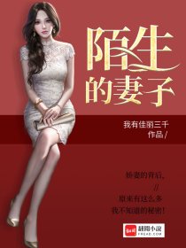 男主女主是苏晓晓,李思婷,刘晓玲的小说是什么_陌生的妻子