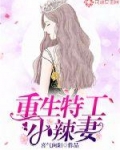 小说《重生特工小辣妻》TXT百度云_重生特工小辣妻