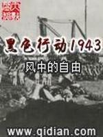 黑色行动下载_黑色行动1943