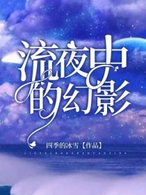 夜中影小说txt全集免费下载_流夜中的幻影