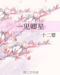 男主女主是夏星宙,苏艺安,李湘湘的小说是什么_一见卿星