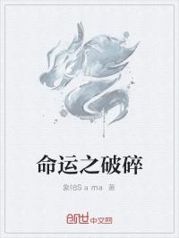 黑老白灵《命运之破碎》_命运之破碎