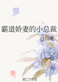 男主女主是朱珠,徐贤宏,宋梦兰的小说是什么_霸道娇妻的小总裁