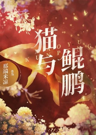 鲲鹏小说二哈与他的白猫师尊_猫与鲲鹏