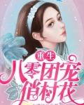 男主女主是张慧,陆海军,吴晓辉的小说是什么_重生八零团宠俏村花