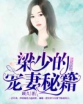 男主女主是徐半夏,陆旭阳,蔡黎晰的小说是什么_梁少的宠妻秘籍