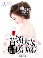 小说《甜甜娇妻：首领大人羞羞羞》TXT百度云_甜甜娇妻：首领大人羞羞羞