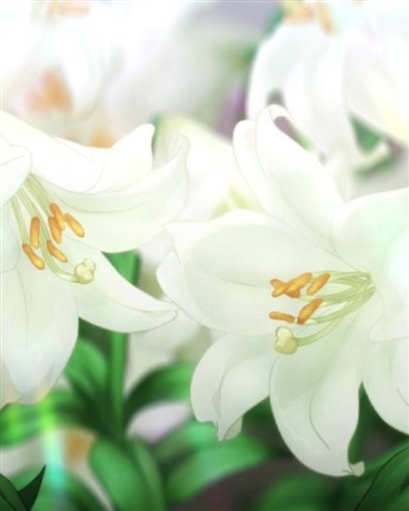 小说《绽放在伊甸花园的纯白之花》TXT百度云_绽放在伊甸花园的纯白之花