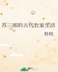 男主女主是苏宇,张氏,孙耀宗的小说是什么_苏三郎的古代农家生活