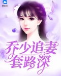 乔少追妻套路深_强势追婚：乔总撩妻72式