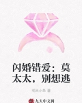 男主女主是莫琛,时宇,莫瑾的小说是什么_闪婚错爱：莫太太，别想逃