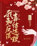 男主女主是赵锦,纪临渊,韩英的小说是什么_穿书后我和反派喜结连理