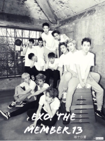 小说《EXO:第十三位成員》TXT百度云_EXO:第十三位成員