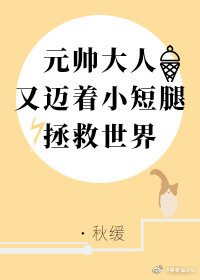 段白洛风仁《元帅又迈着小短腿拯救世界》_元帅又迈着小短腿拯救世界