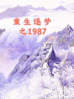 男主女主是谢曙光,冰宁,袁承宇的小说是什么_重生逐梦1987