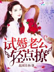 男主女主是沈鸿安,苏念锦,白秀珍的小说是什么_试婚老公，轻点撩