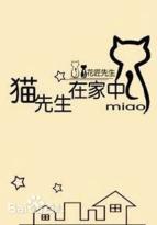 男主女主是叶舟,小林,陈霖的小说是什么_猫先生在家中
