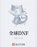 小说《全球DNF》TXT下载_全球DNF